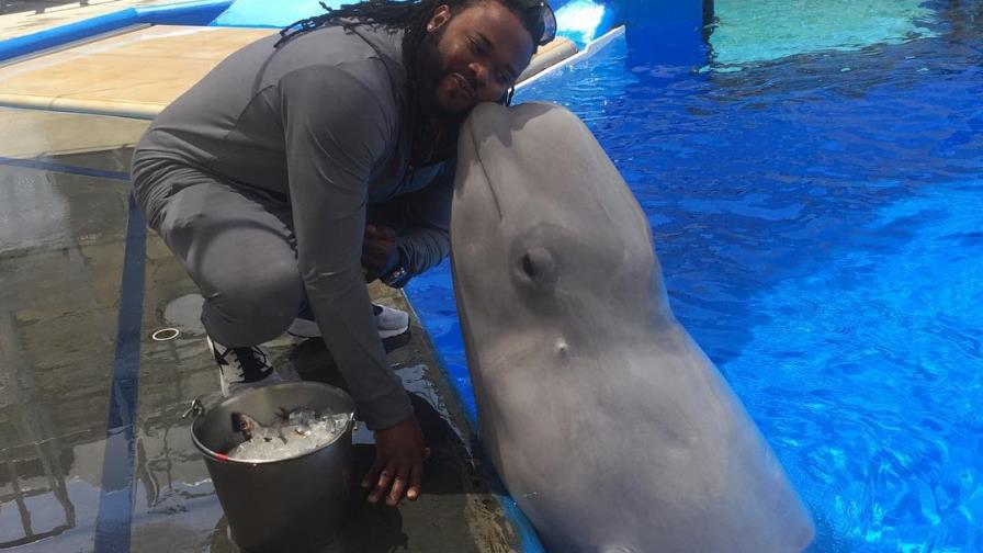 Johnny Cueto se hace mejor amigo de una ballena blanca 