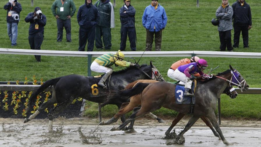Mueren 2 caballos en carreras previas a Preakness 