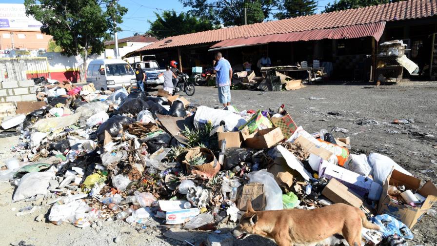 Vendedores de alimentos en Santiago realizan mercado entre la basura