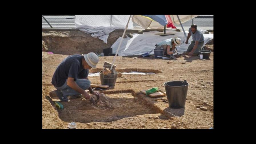 ADN antiguo desvela que los fenicios de Cartago tenían ancestros europeos ADN antiguo desvela que los fenicios de Cartago tenían ancestros europeos