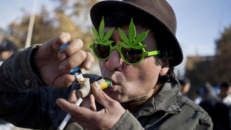 Congreso colombiano aprueba el uso de la marihuana para fines medicinales