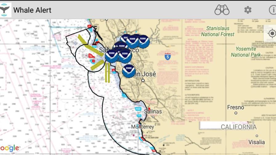 Un “Waze” marino para evitar chocar con las ballenas: Whale Alert