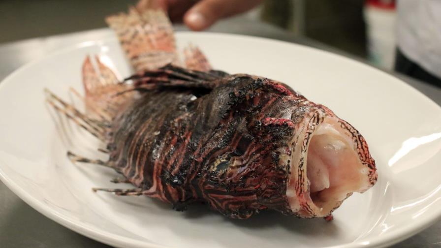 Si no puedes vencerlos, cómetelos Si no puedes vencerlos, cómetelos