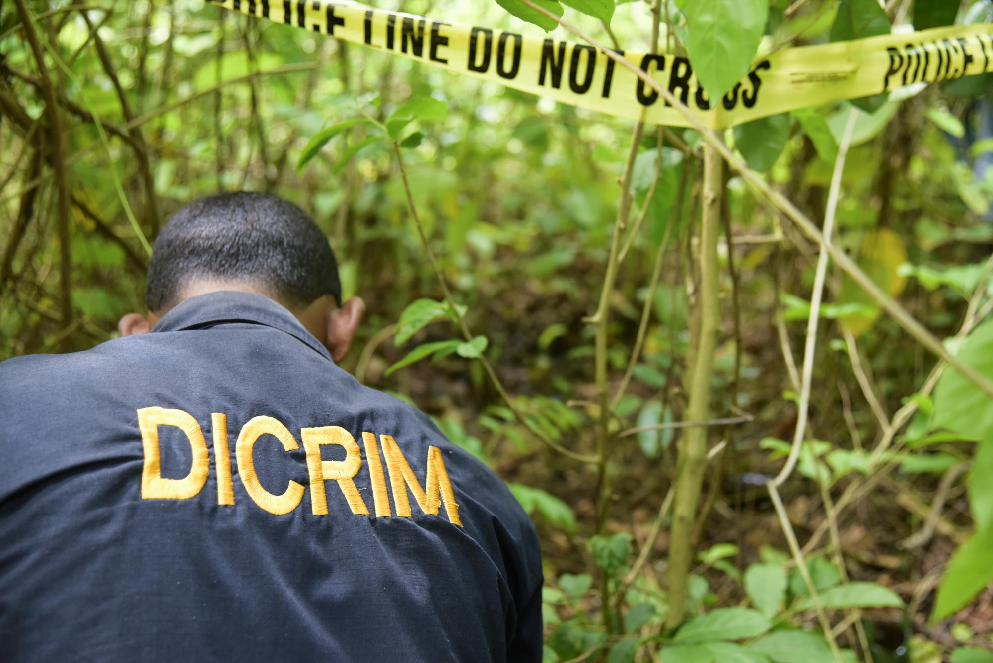 El área fue restringida por los investigadores 