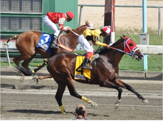 Ana Tani (4) fue la ganadora en la tercera competencia, donde se disputo el Clásico Dia de las Madres.