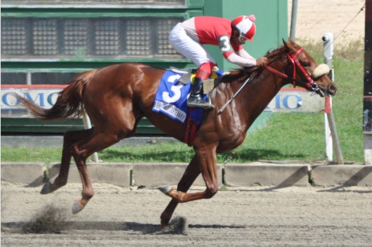 Rey Sol (3) no encontró oposición en la primera para ganar fácil esa competencia.