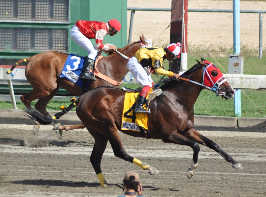 Cañaveral (4) y Golden Machine a la llega a la meta en la segunda carrera.