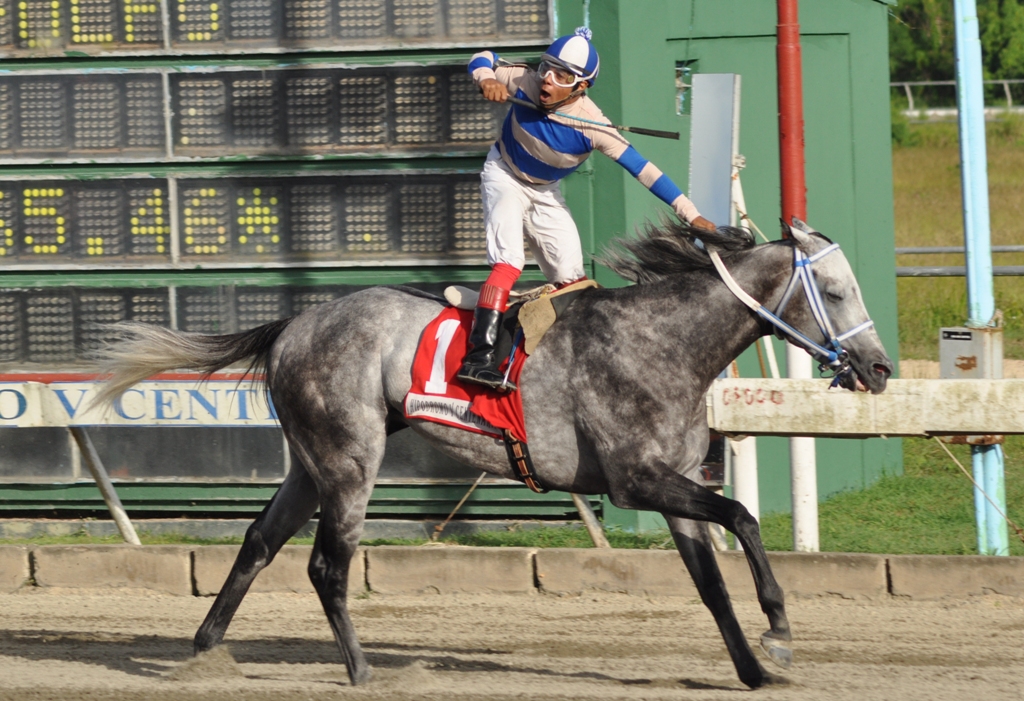 Half Loyal no tuvo resistencia para su triunfo en la estelar quinta carrera en la jornada del sábado 28/05/16.
