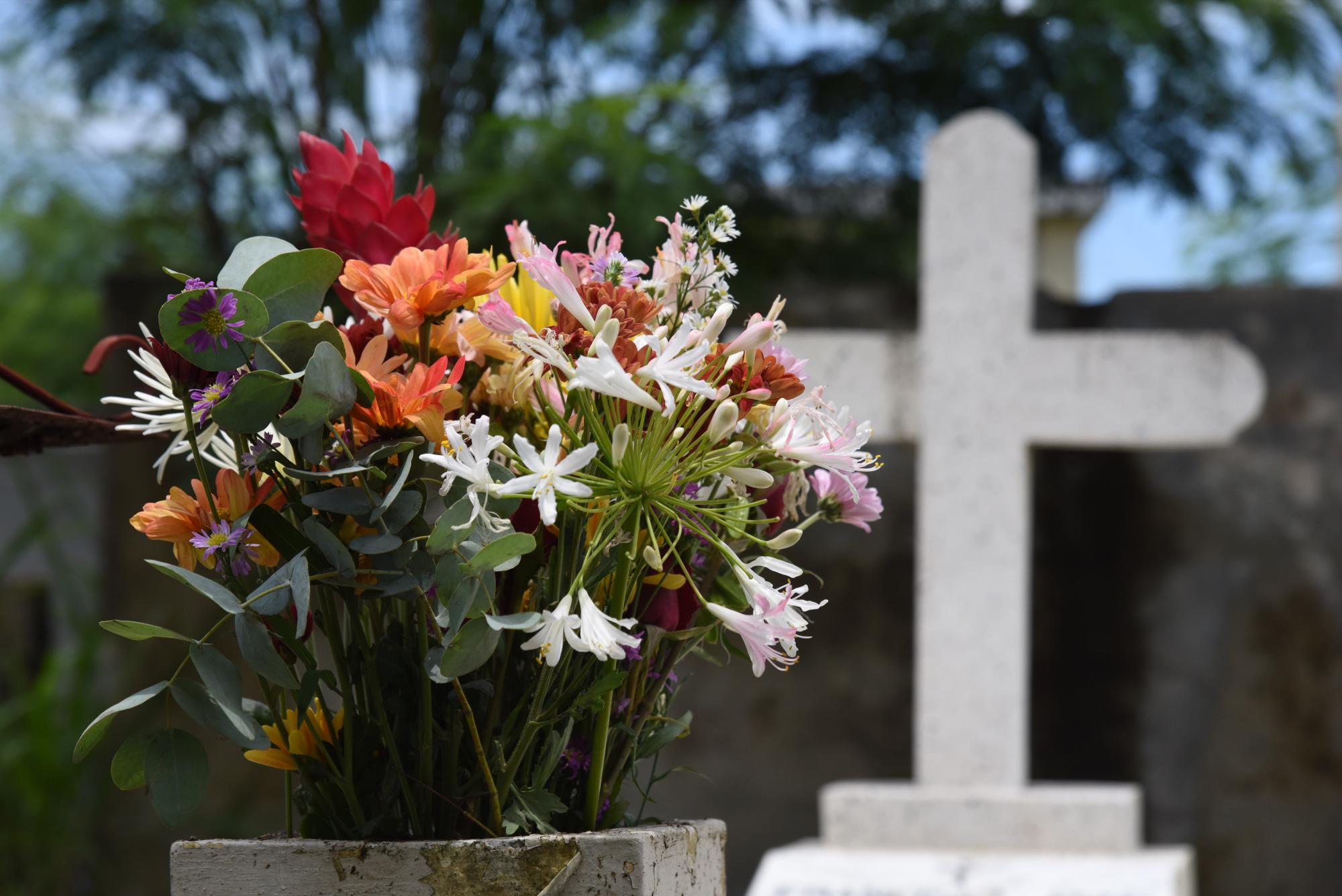 Flores colocadas en una tumba.