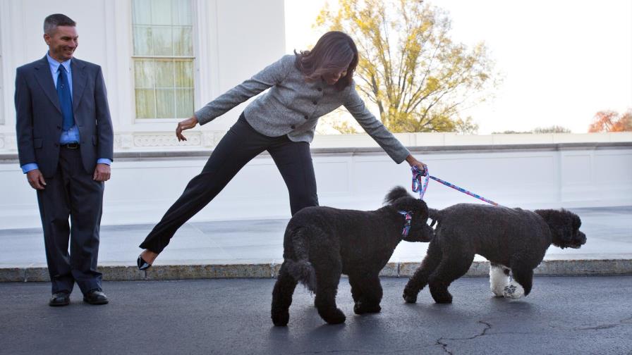 Los perros de Obama son los “embajadores caninos para la Casa Blanca”; con horario incluido