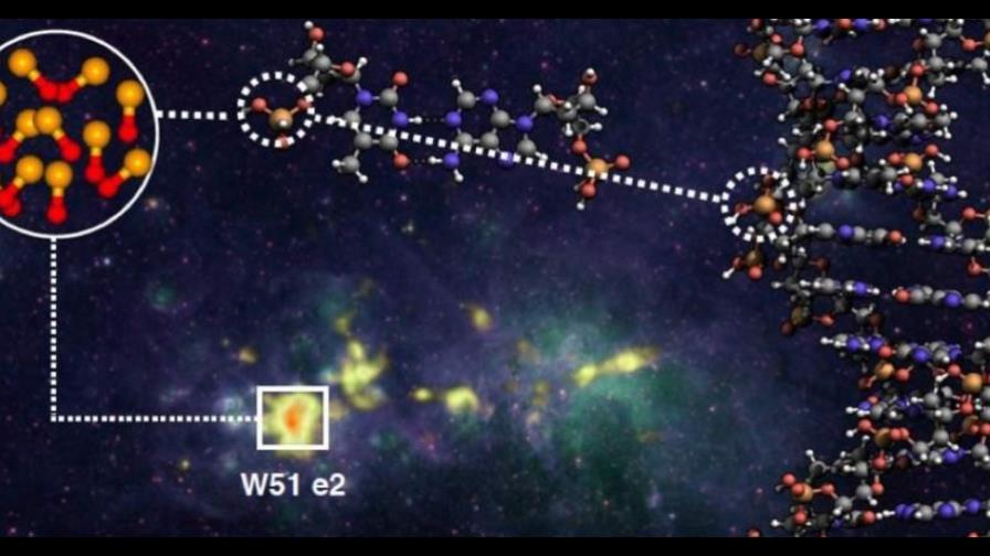 Detectan por primera vez molécula PO, esencial para el origen de la vida Detectan por primera vez molécula PO, esencial para el origen de la vida