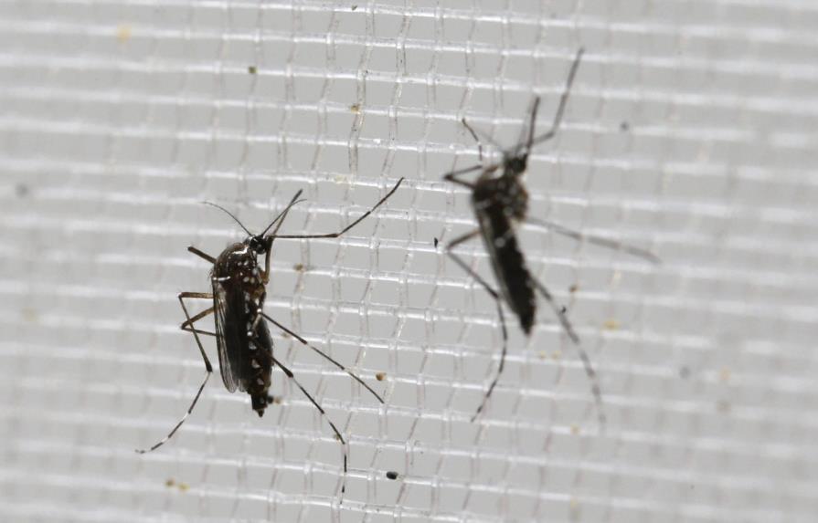 OMS: Contagio sexual de zika es más común de lo que se creía 