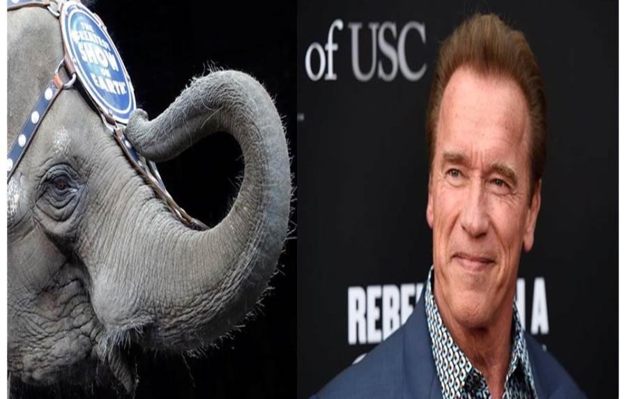 Schwarzenegger tiene encuentro cercano con un elefante en safari 