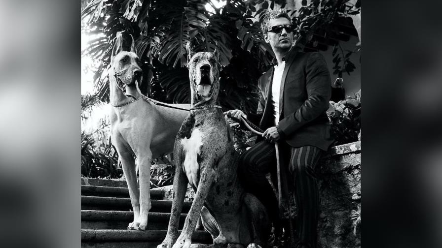 Alejandro Fernández fue sometido a una cirugía tras ser mordido por un perro Alejandro Fernández fue sometido a una cirugía tras ser mordido por un perro