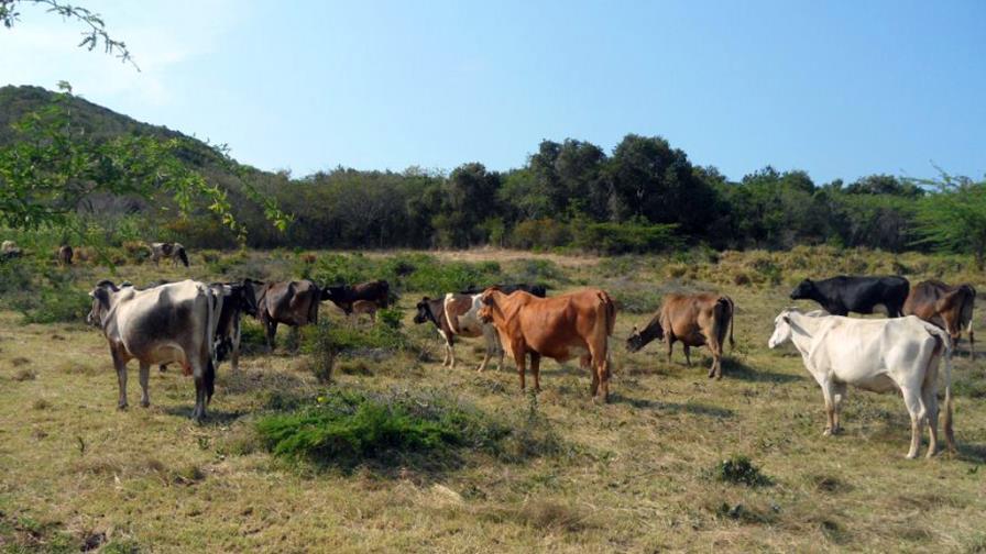 Productores de leche dejan protesta sin efecto