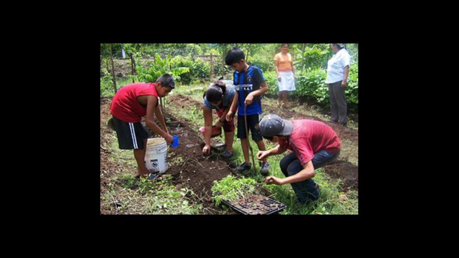 Agricultura Familiar tendrá presupuesto Agricultura Familiar tendrá presupuesto