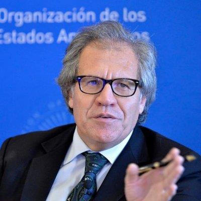 Secretario general de la OEA llega hoy al país 