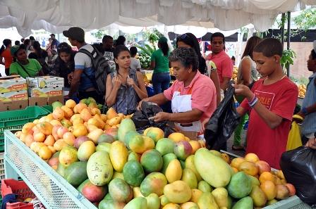 Tras ser visitadas por miles de personas, concluye Expo Mango 2016