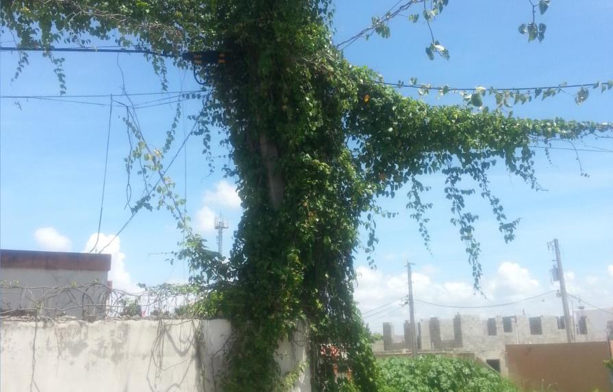Propietarios de terrenos en Santo Domingo Este los dejan baldíos; vecinos sufren consecuencias