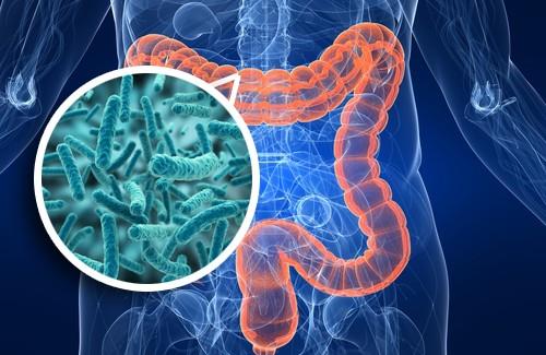 Antibióticos y cesáreas afectarían flora intestinal de bebés 