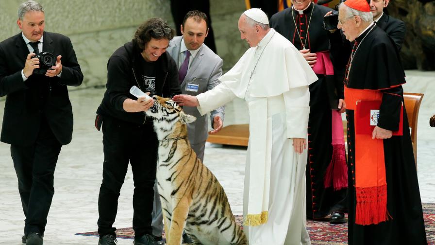 El papa recibió artistas circenses y acarició cachorros de tigre y pantera