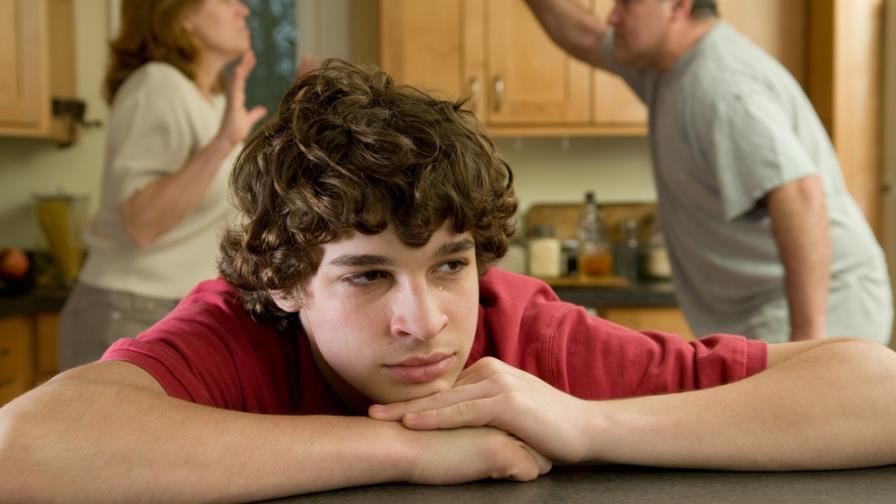 Sugieren inclusión de psicólogos en Atención Primaria para reducir violencia intrafamiliar 
Sugieren incluir psicólogos en Unidades de Atención Primaria