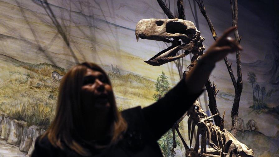 Trelew, la ciudad argentina que “resucitó” al dinosaurio más grande del mundo