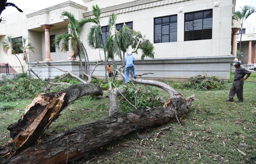 Ventarrón derriba árboles en Santiago y La Vega