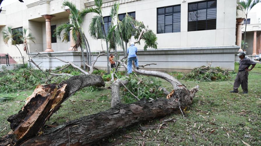Ventarrón derriba árboles en Santiago y La Vega