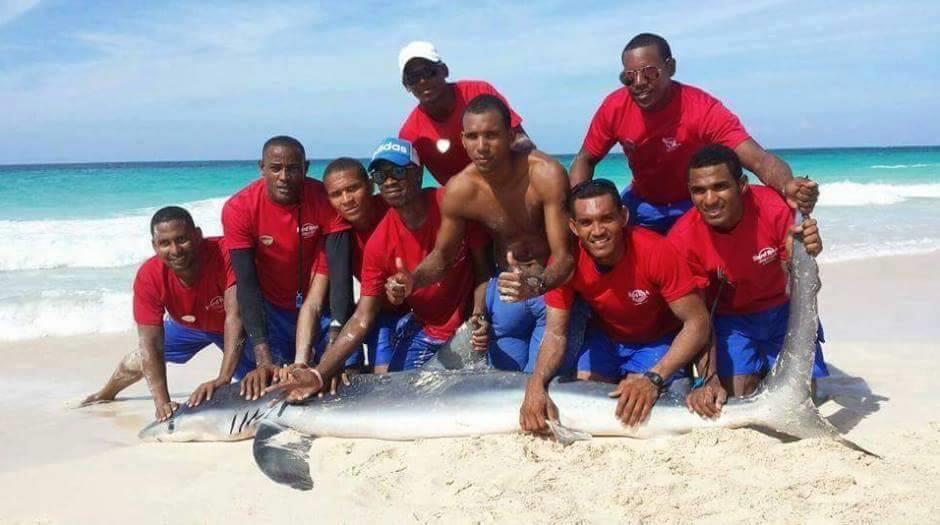 Muerte de tiburón  en Punta Cana causa indignación en todo el mundo