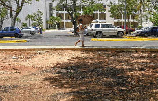 Área verde destruida y descuidada en la Plaza de la Cultura