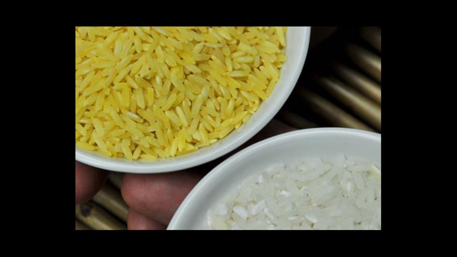 Más de 100 premios nobel critican a Greenpeace por rechazar transgénicos Más de 100 premios nobel critican a Greenpeace por rechazar transgénicos