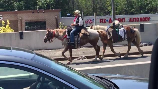 Arrestan a vaquero que bloqueó a caballo tráfico de Nueva York 