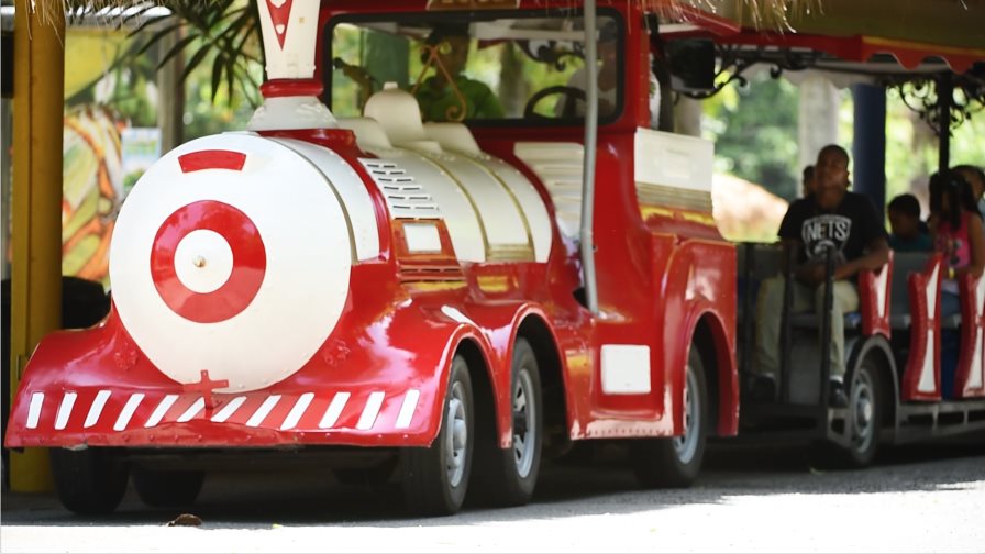 Móntate en la celebración del 41 aniversario del Zoodom