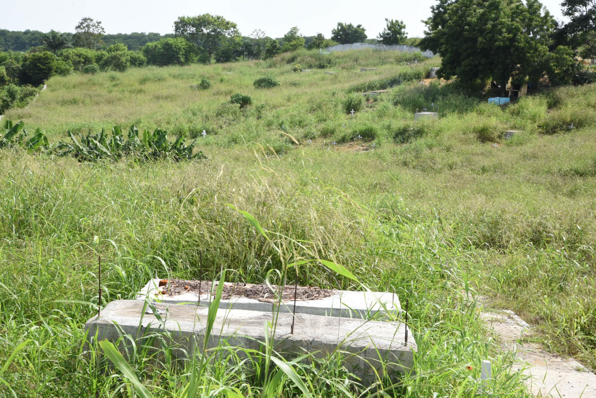 La maleza cubre las tumbas en el cementerio de los Casabes, Santo Domingo Norte.