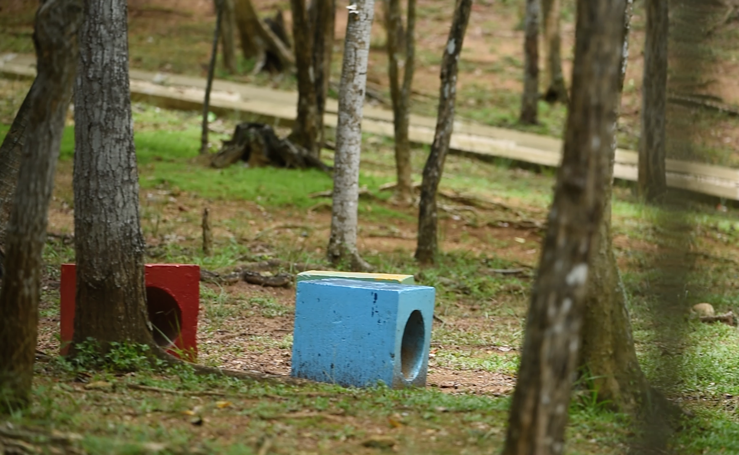 ¡AL ÁREA DE PICNIC! Nada mejor que esta zona de esparcimiento, que cuenta con juegos infantiles, cafetería y tienda de regalos, tras un extenso recorrido en tren compuesto por varias  paradas.