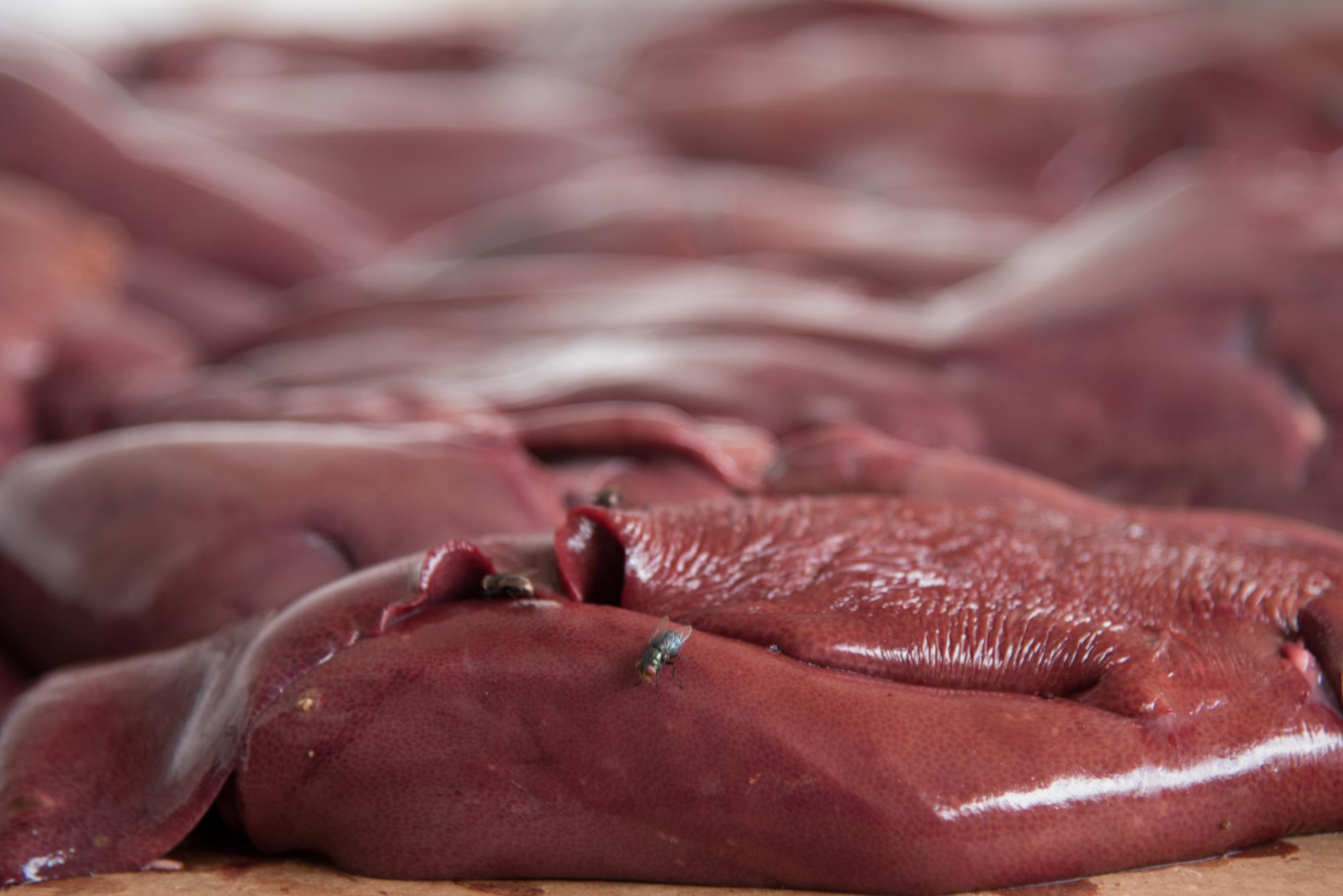 Una mosca se posa en un corte de carne en el Mercado Nuevo.