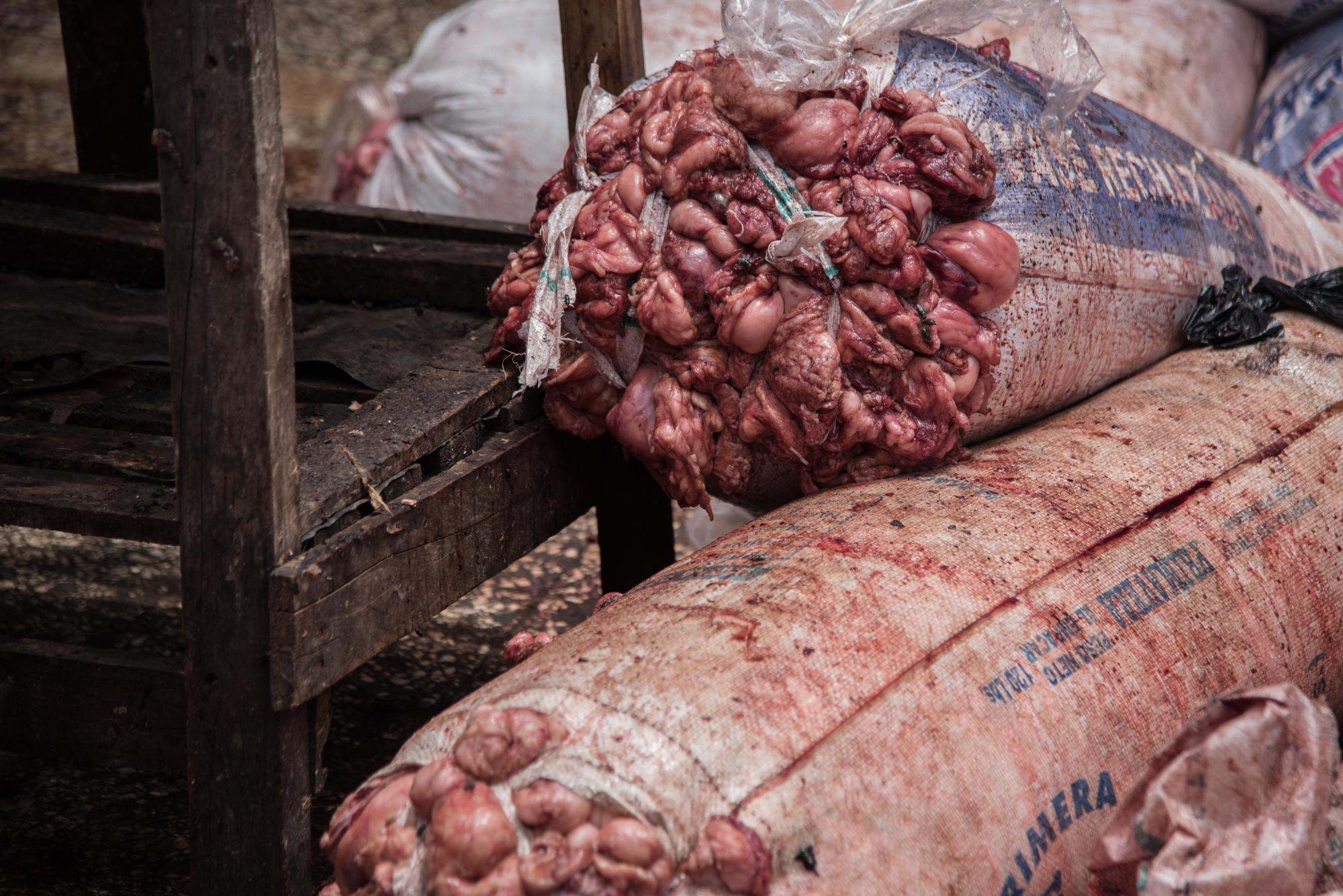 Una vista más de cerca.