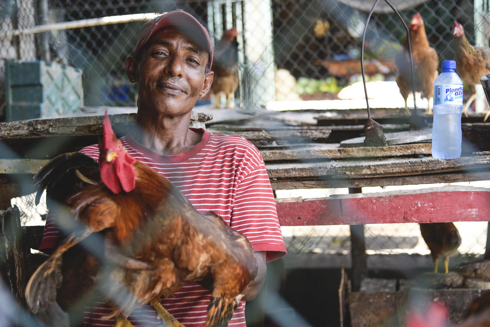 Un vendedor de aves en el mercado de Honduras.