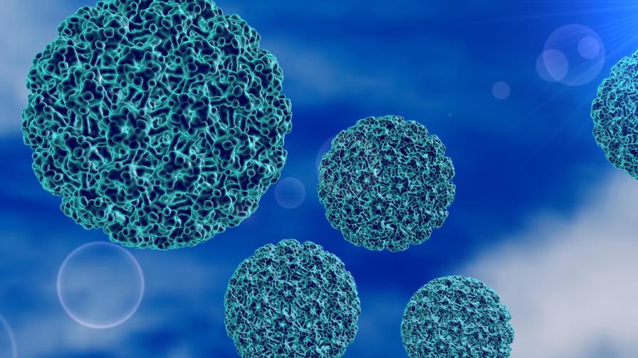 Aumentan casos de cáncer causado por virus del papiloma humano en Estados Unidos Aumentan casos de cáncer causado por virus del papiloma humano en Estados Unidos