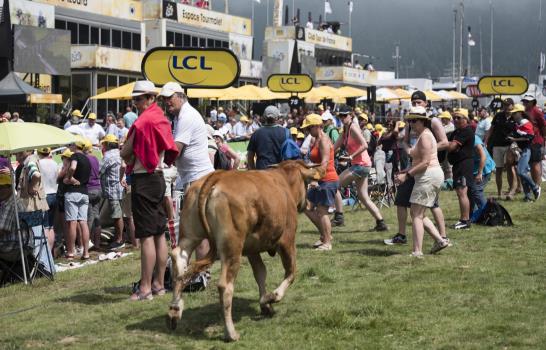 Steve Cummings gana 7ma etapa del Tour, que llega a los Pirineos 