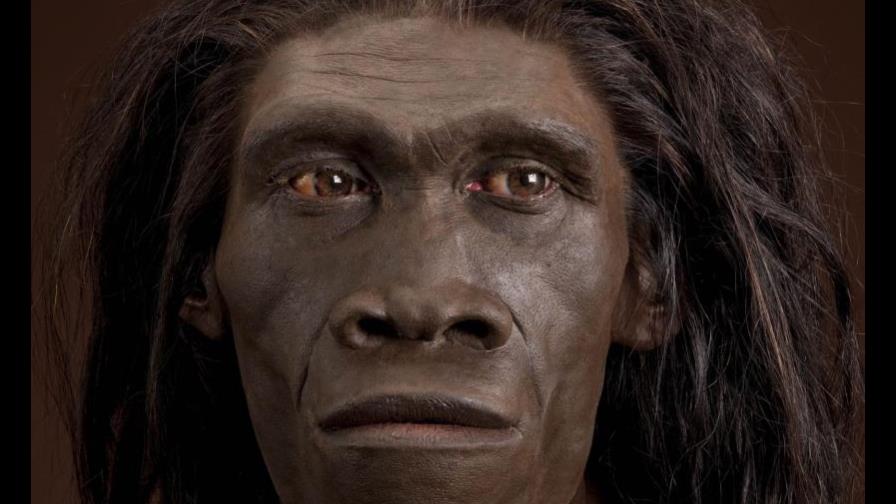 Homo erectus, el pionero que sobrevivió al clima desértico hace más de un millón de años