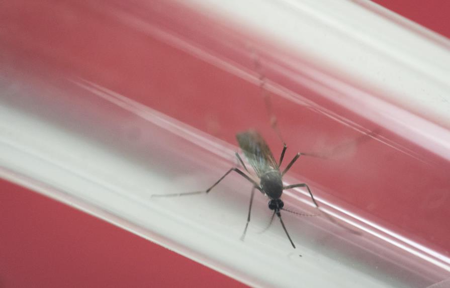 Mujer contagia zika a hombre a través de relaciones sexuales en Nueva York