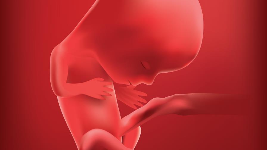 Hallan seis fetos dentro de una funda negra en Santo Domingo Este Hallan seis fetos dentro de una funda negra en Santo Domingo Este