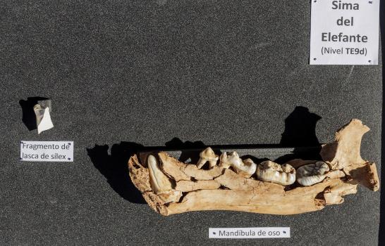 Atapuerca, único yacimiento de Europa que arroja restos del pleistoceno medio