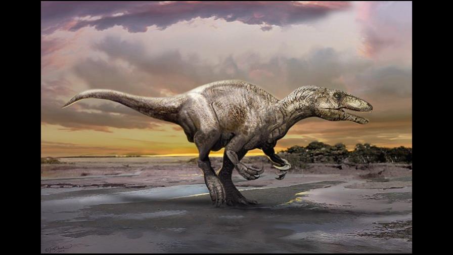 Descubrimiento de un megaraptor en la Patagonia abre nuevas investigaciones