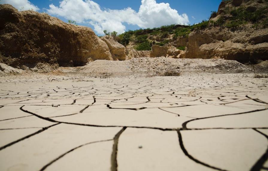 Medio Ambiente responde a la Fundación Punta Cana: “El bosque seco de la región Sur ha crecido significativamente”