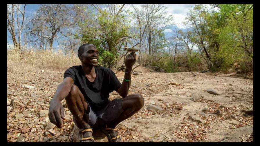 La extraña y fructífera relación de personas y pájaros para recolectar miel La extraña y fructífera relación de personas y pájaros para recolectar miel