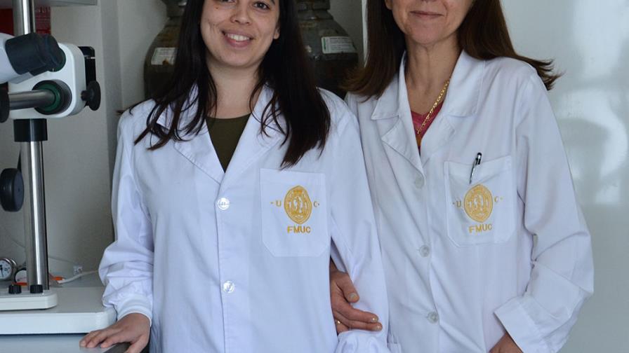 Una universidad de Portugal crea un páncreas bioartificial para tratar la diabetes