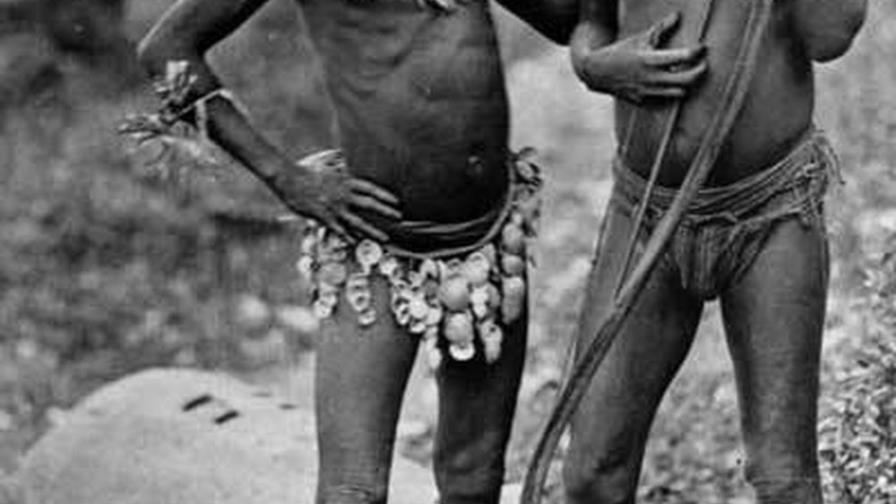 Descubren un nuevo antepasado de los humanos que dejó su ADN en islas Andamán